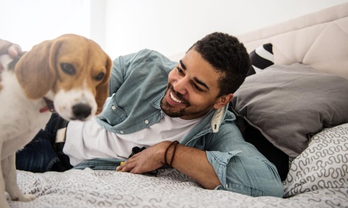 man smiles and pets his dog on a bed